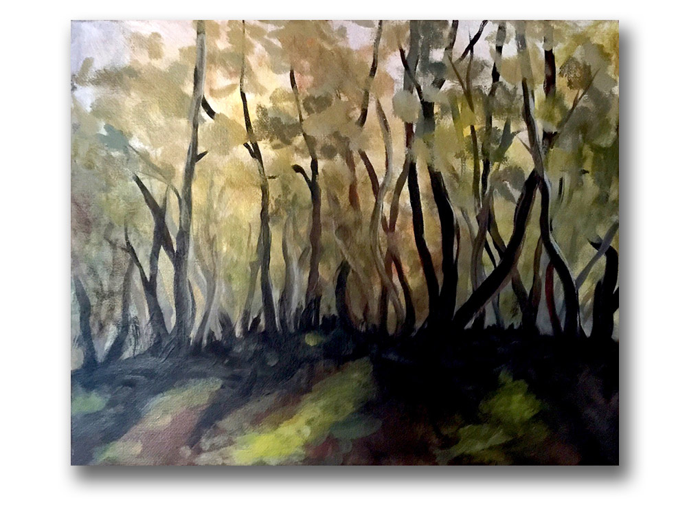 Last Light, Wayback by libby blainey