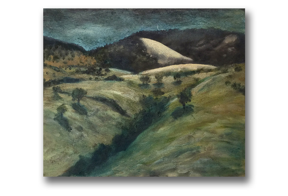 Evening on the Macquarie by libby blainey