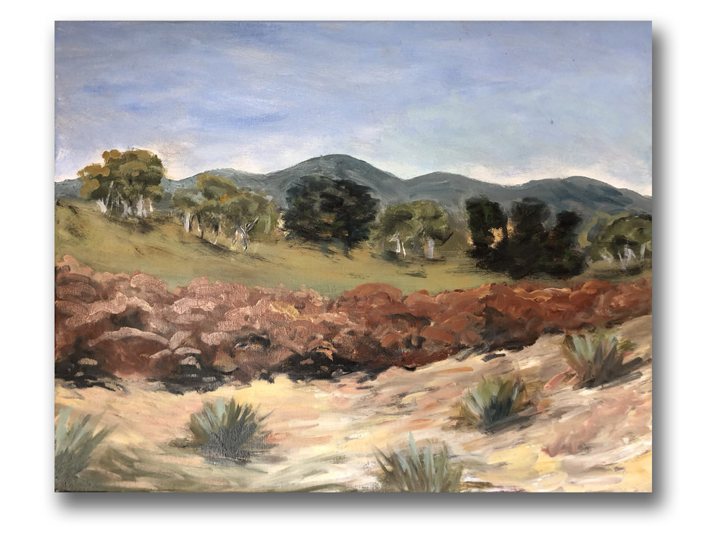 Ti-Tree Gully by libby blainey