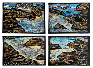 Clovelly Pools Combined